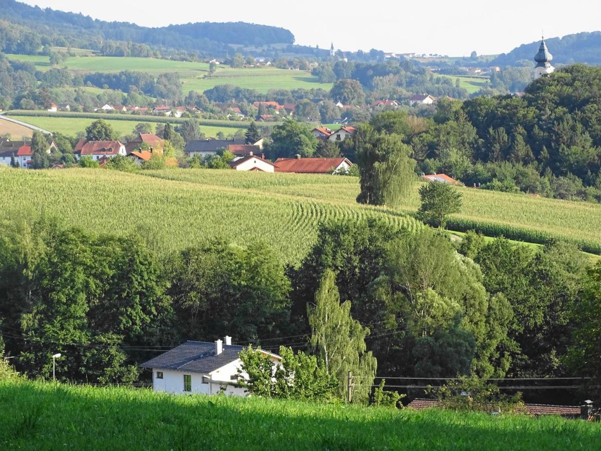 Ferienwohnung Hofstatt Lalling 外观 照片