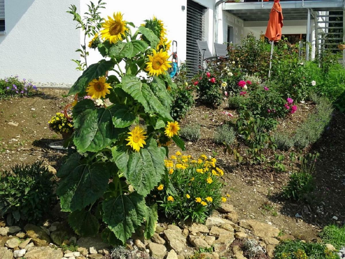 Ferienwohnung Hofstatt Lalling 外观 照片
